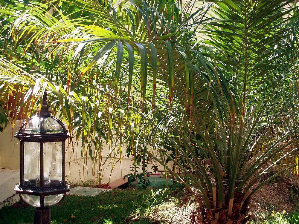 Apartmán Alsol Nogal- Adults Only Playa del Inglés
