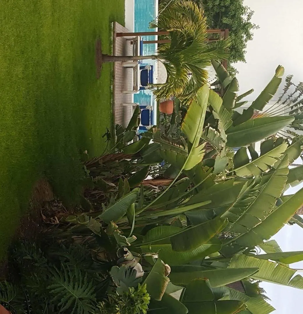 Apartmán Alsol Nogal- Adults Only Playa del Inglés